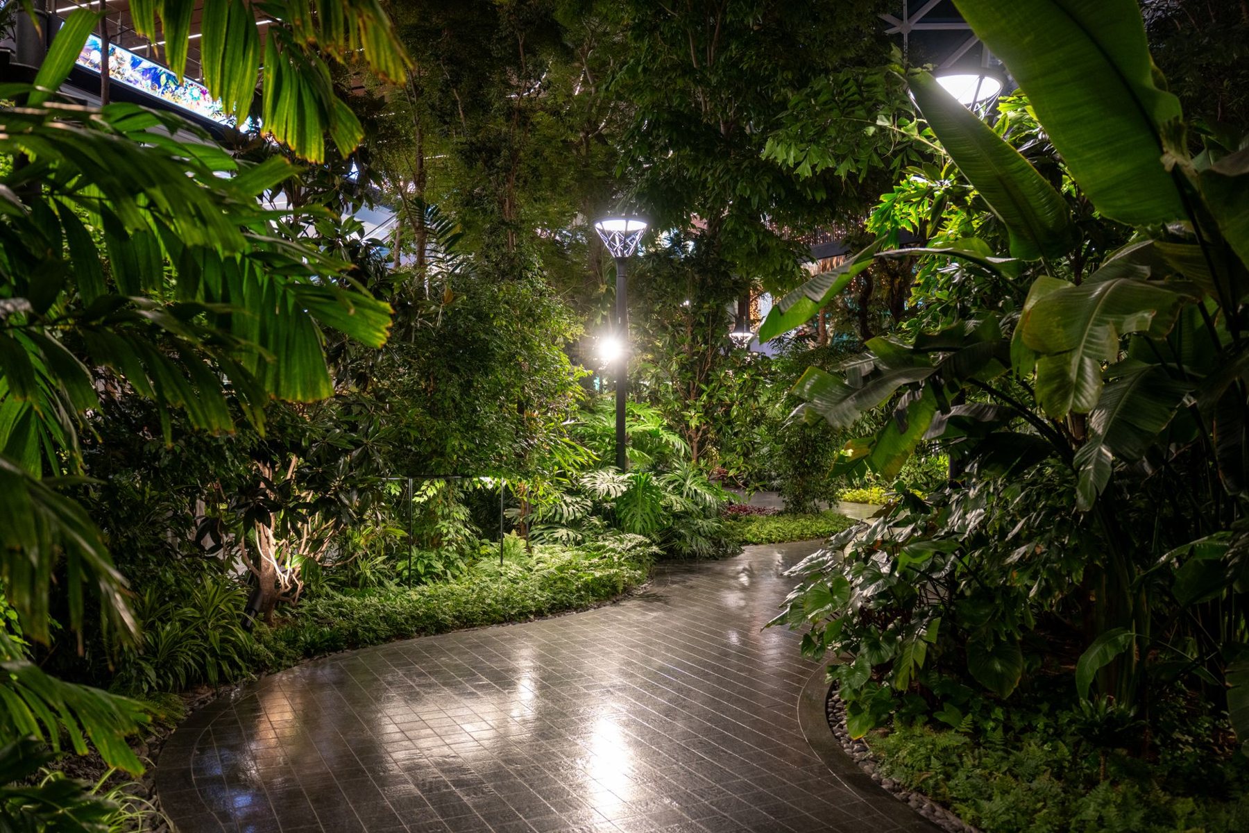 Landscape Lighting in Litchfield Park AZ